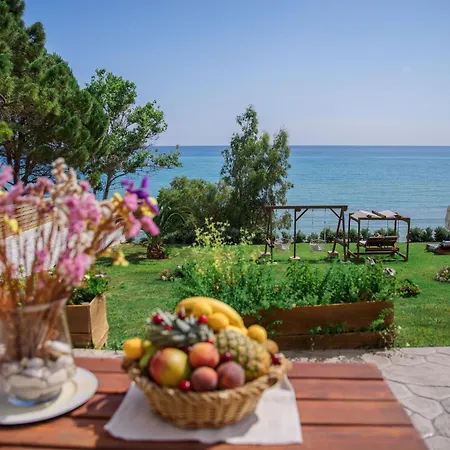 Angelina Villa Alikész