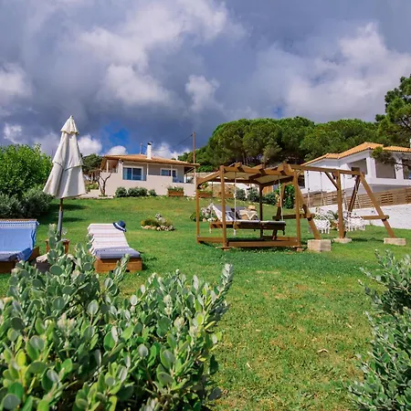 Angelina فيلة